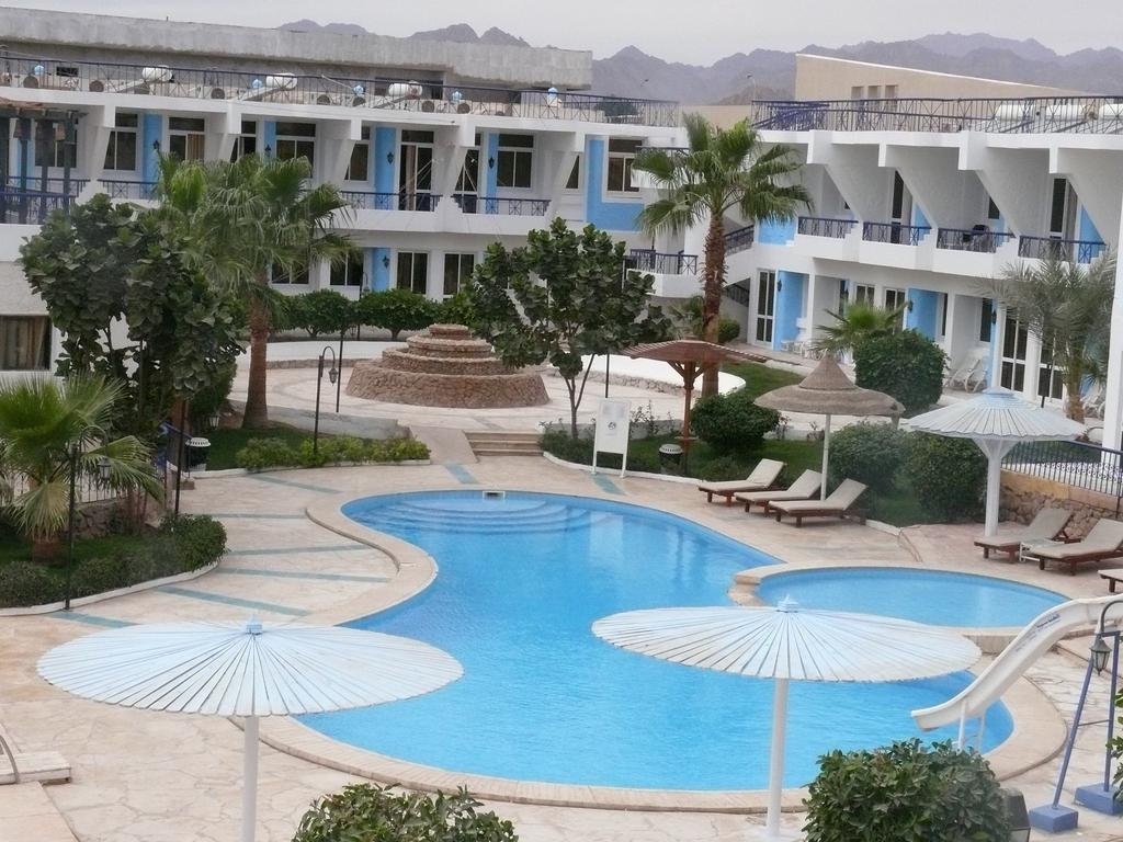 Regency Royal Hills (ex. Regency Sharm Hotel) 3* қонақ үйі