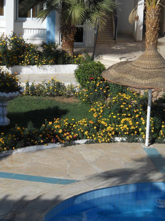 Regency Royal Hills (ex. Regency Sharm Hotel) 3* суреті