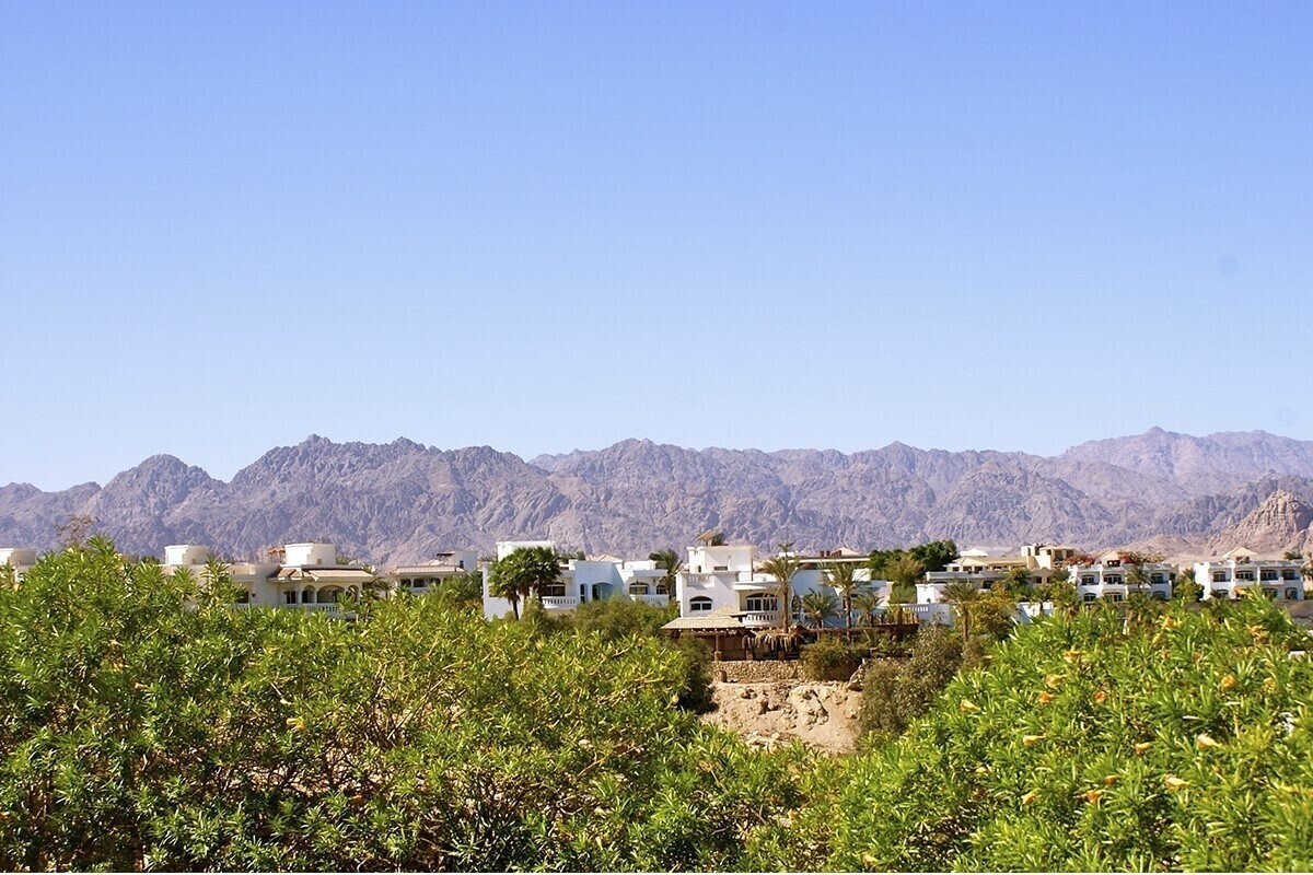 Фотография Eden Rock Hotel Namaa Bay 3*