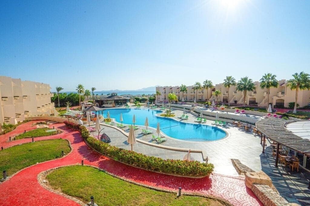 Ivy Cyrene Sharm (ex. Cyrene Sharm Hotel) 4* қонақ үйі