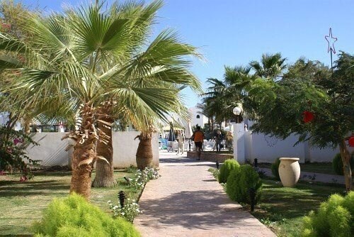 Poinciana Sharm Resort (ex. Grand Sharm Resort) 4* фотосуреті