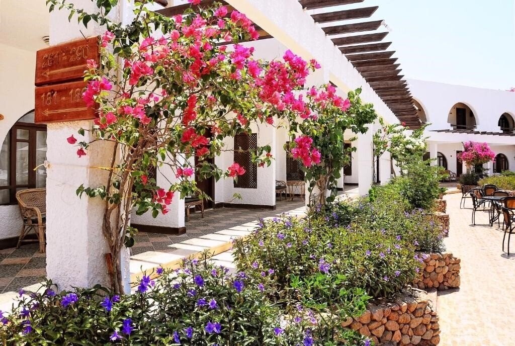 Aida Hotel 3* суреті