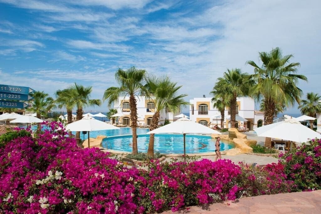Отель Amphoras Blu (Adults Only 16+) 4*