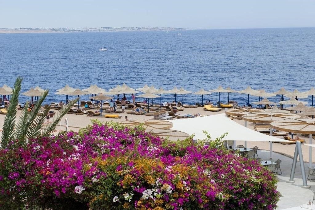 Фото Amphoras Blu (Adults Only 16+) 4*