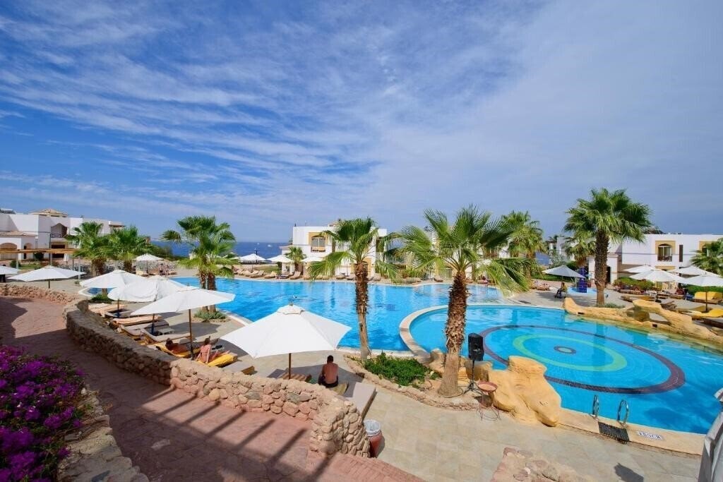 Изображение Amphoras Blu (Adults Only 16+) 4*