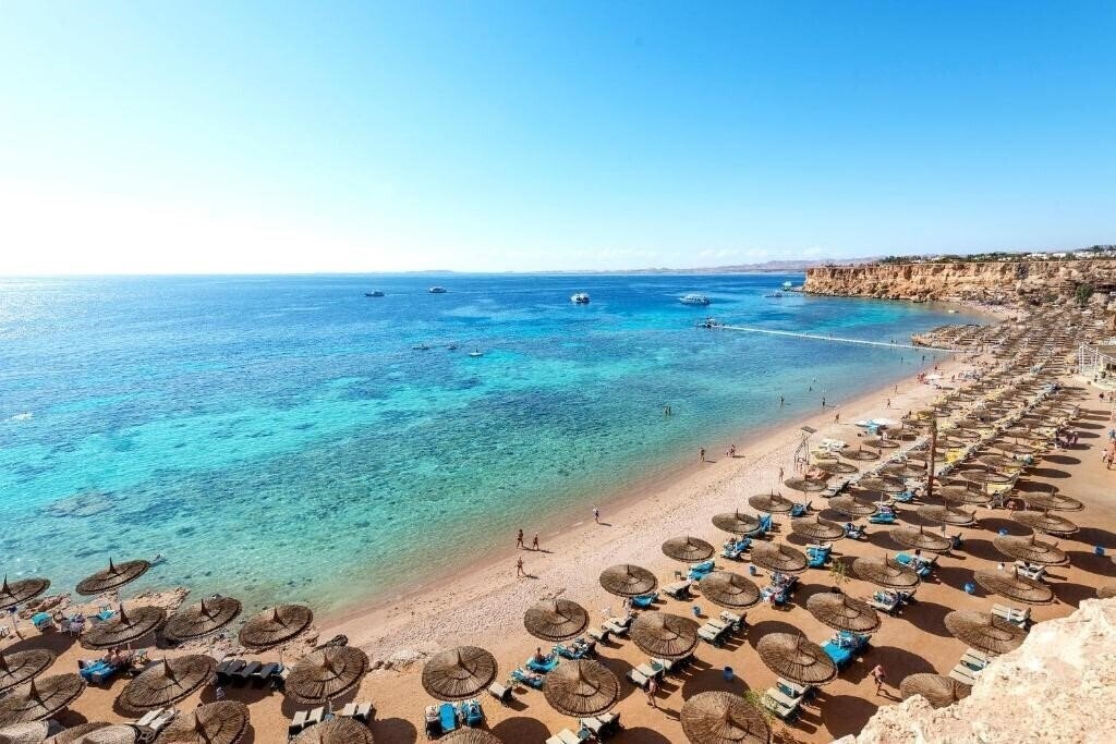 Отель Reef Oasis Beach Resort 4*