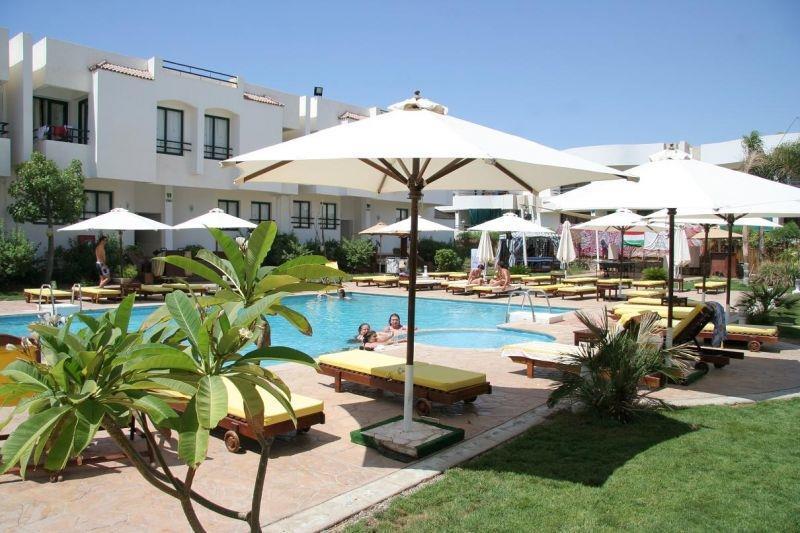 Viking Club 4* суреті