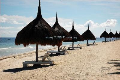 Отель Bohol Beach Club 3*