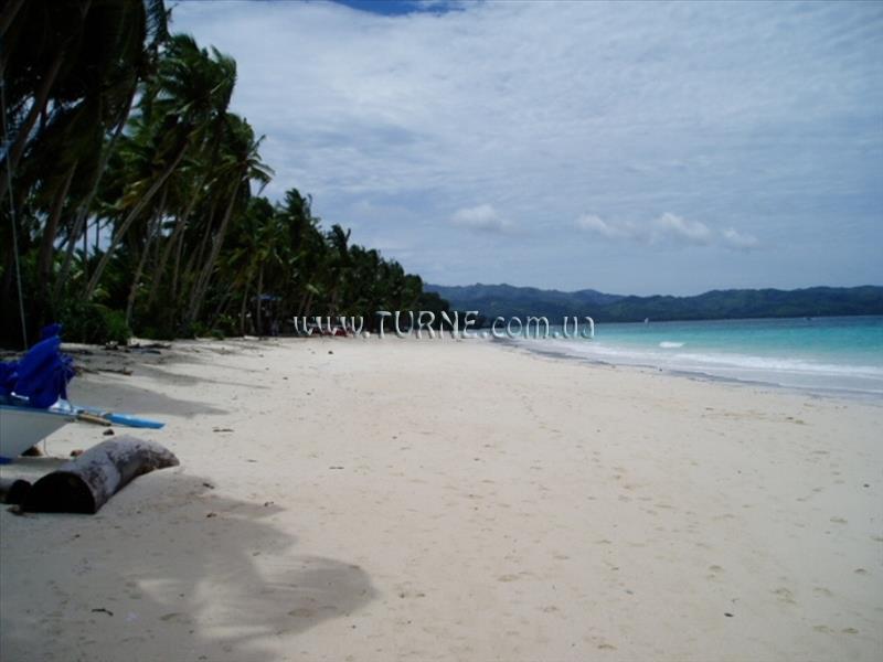 Картинка Orchid Resort 4*