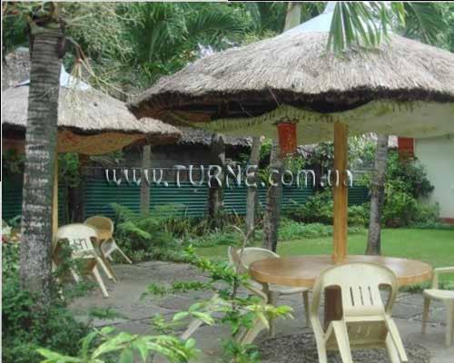 Фотография Red Coconut Beach Resort 4*