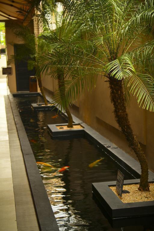 Two Seasons Boracay 4* суреті