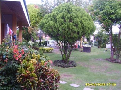 Отель Alice In Wonderland 3*