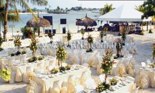 Фотография Cebu White Sand Resort 3*