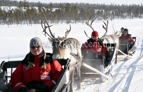 Rantasipi Pohjanhovi 4* суреті