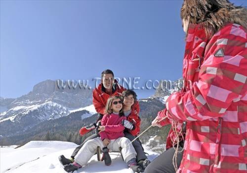 Residence Les Dolomites 4* суреті