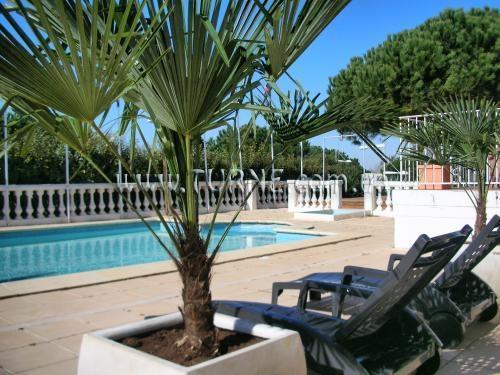 Фотография Athena 2*