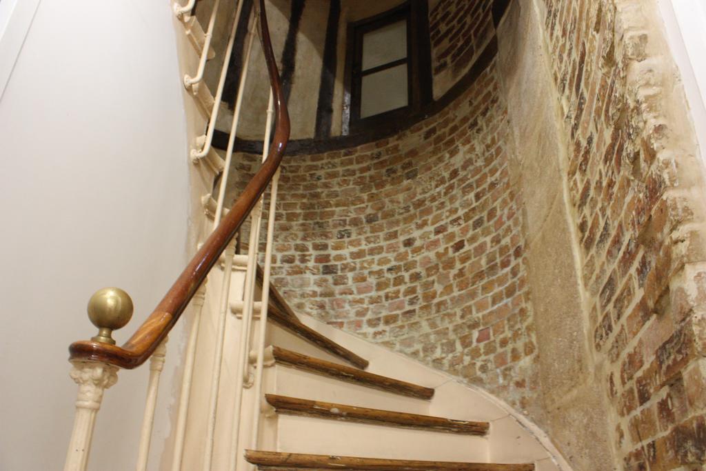 Excelsior 3* суреті