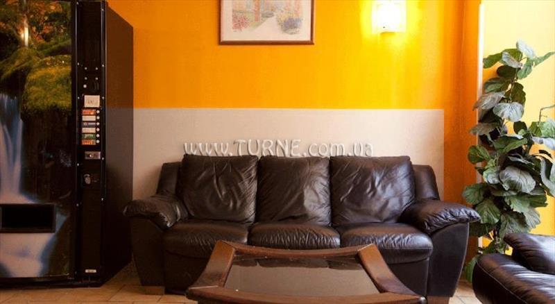 Hibiscus 2* суреті