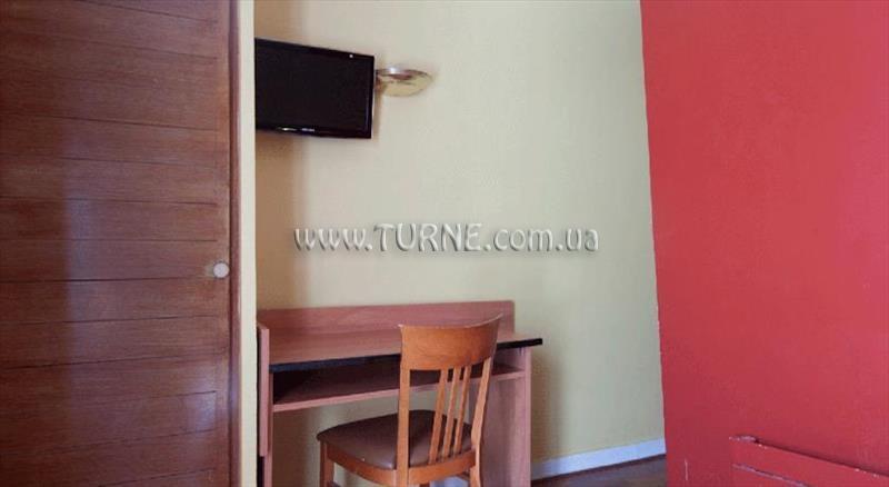 Hibiscus 2* фотосуреті