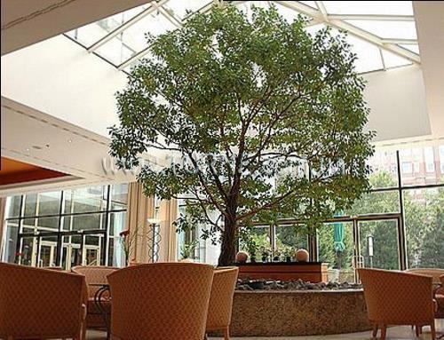 Inter Continental Berlin 5* суреті