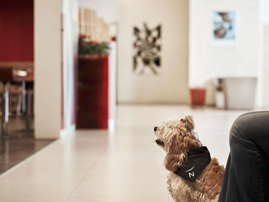 Novotel Athenes 4* суреті