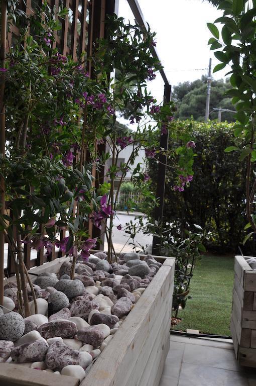 Hotel Chris 2* фотосуреті