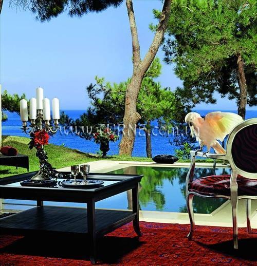 Capsis Thalassa 5* суреті