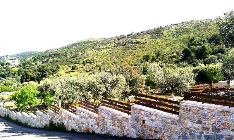 Villa Xenia Konaki вилла фотосуреті