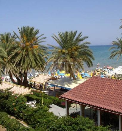 Palm Beach Hotel 3* суреті