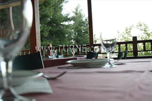 Изображение Forest Park Hotel 3*