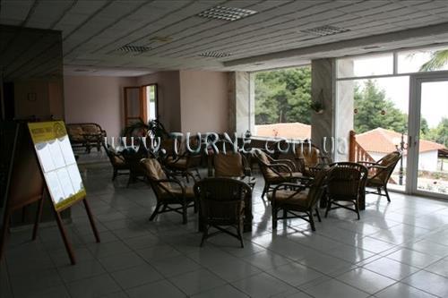 Фотография Forest Park Hotel 3*