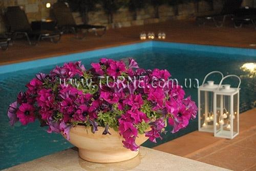 Maya Bay 2* суреті