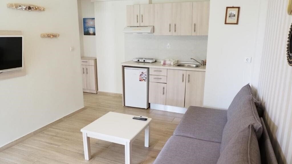 Leonidas Apartments 3* суреті