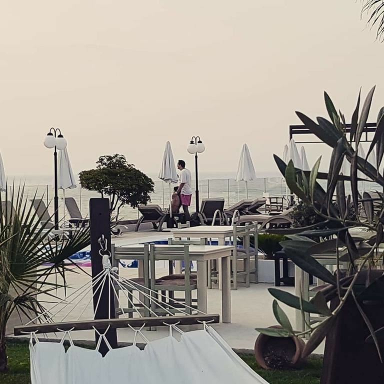 Top Hotel 3* фотосуреті