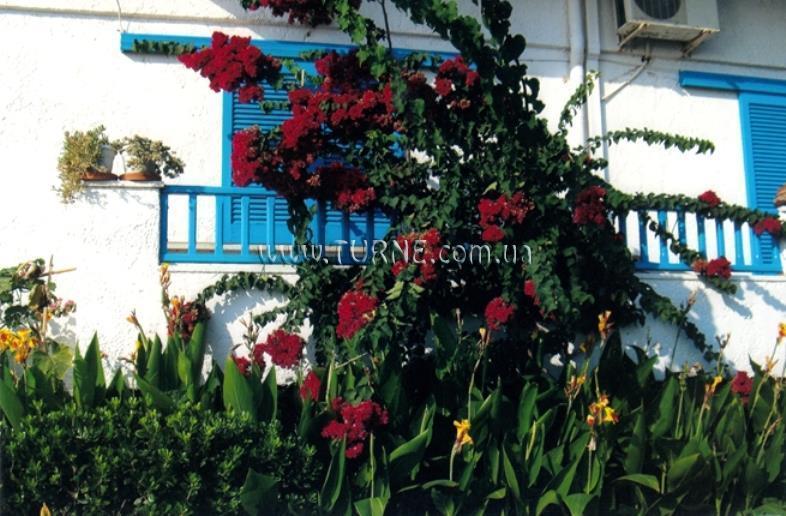 Картинка Amaryllis Apts 1*