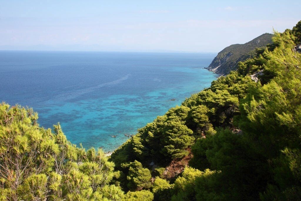 Kalypso Hotel 2* суреті