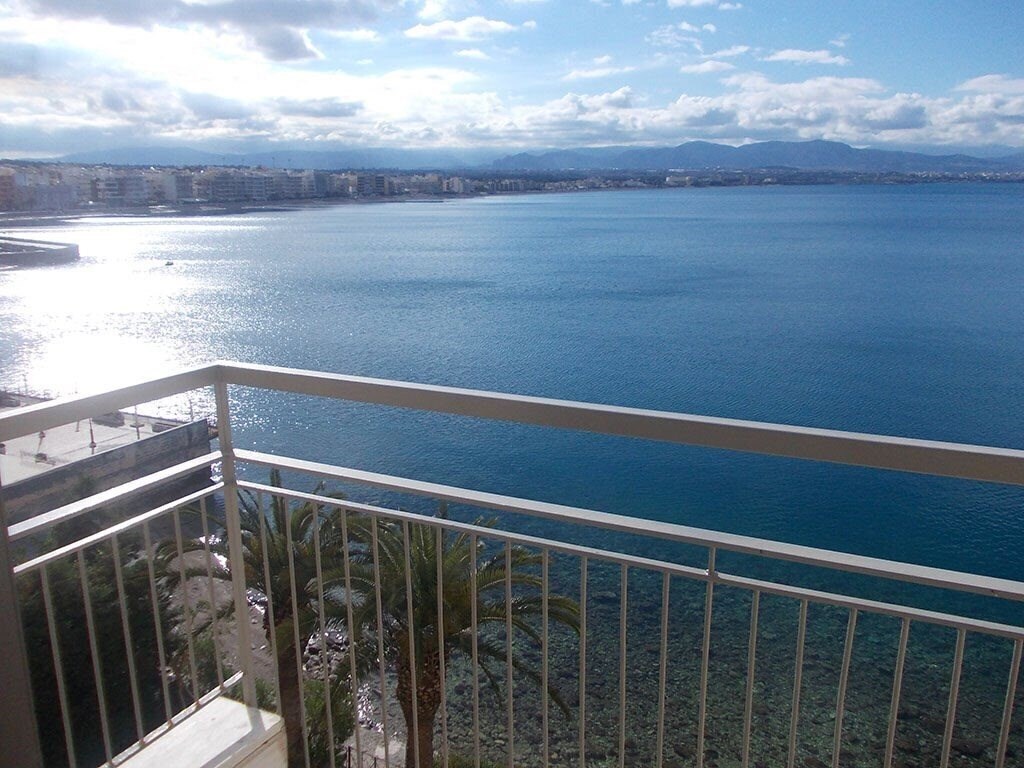 Theoxenia 3* суреті