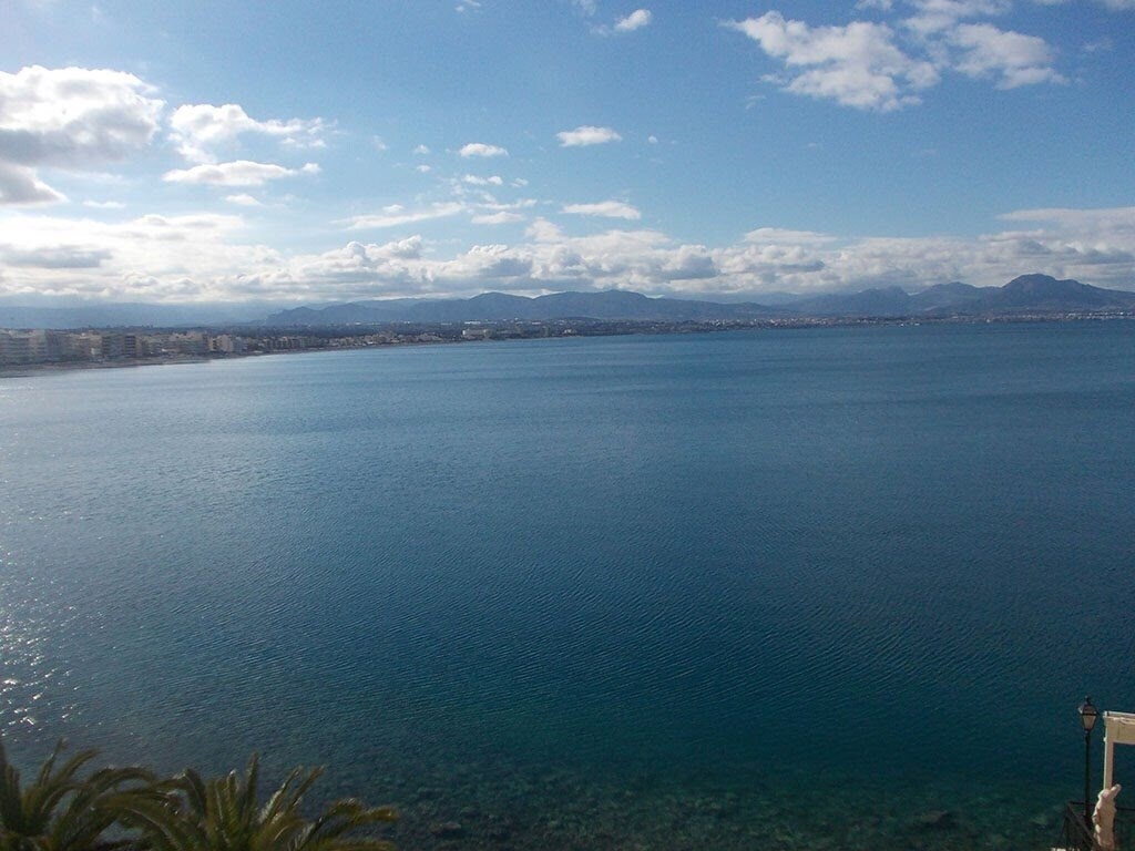 Theoxenia 3* суреті