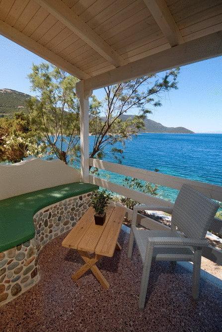 Venus Beach Hotel 3* суреті