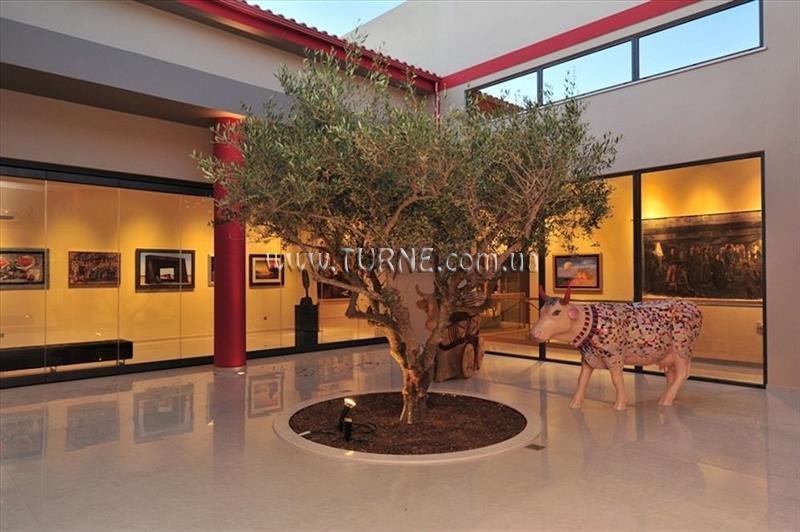 Картинка Apollonion Resort & SPA 5*