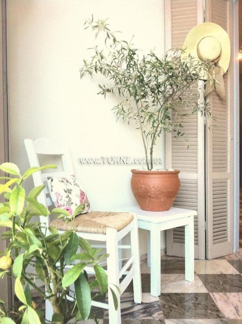 Картинка Aurora Hotel 2*