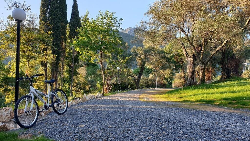 Изображение Yannis 3*