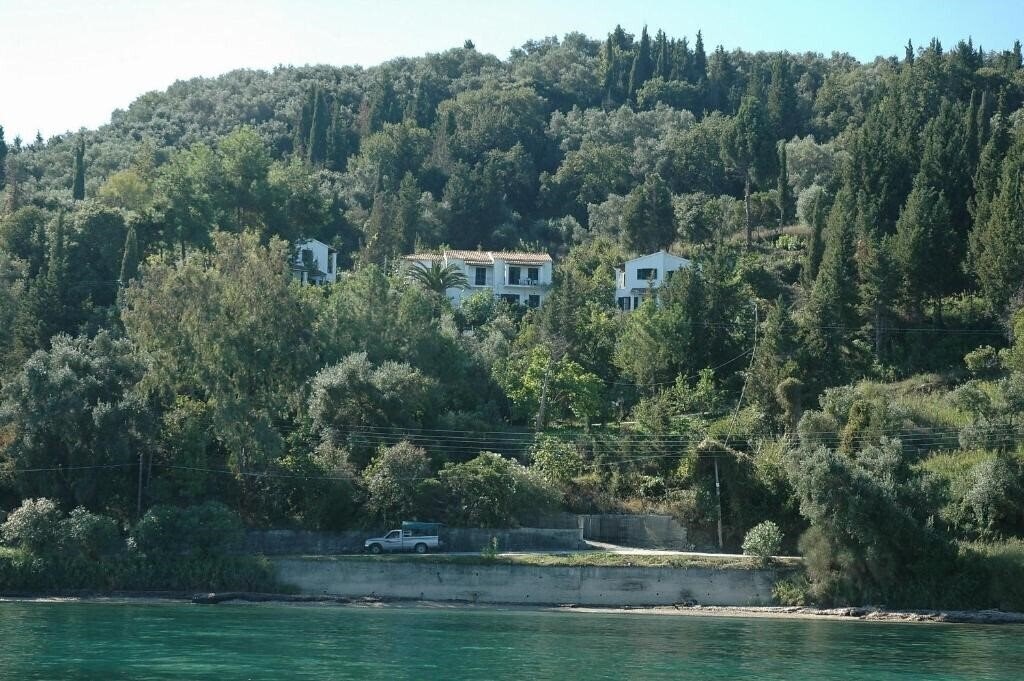 Andreas Studios 2* суреті