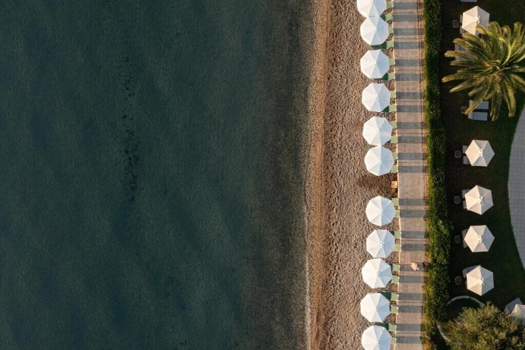 Elea Beach Hotel 4* суреті