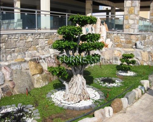 Картинка Natura Park Village 5*