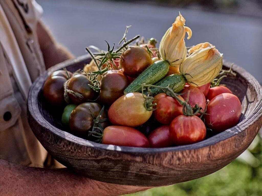 Grecotel Casa Paradiso 4* суреті