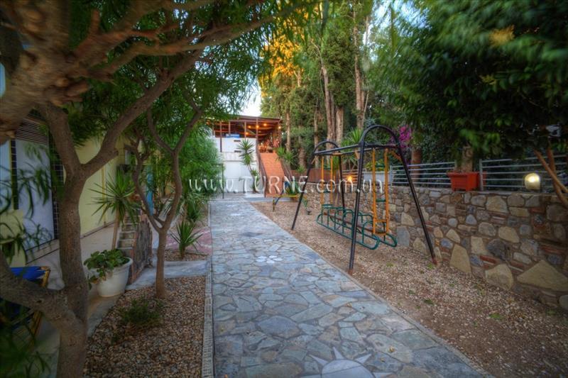 Sunny Days 3* суреті