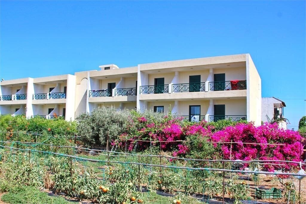 Изображение Despo 3*