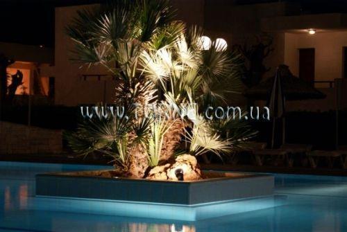 Smartline Kyknos Beach Hotel & Bungalows 4* суреті