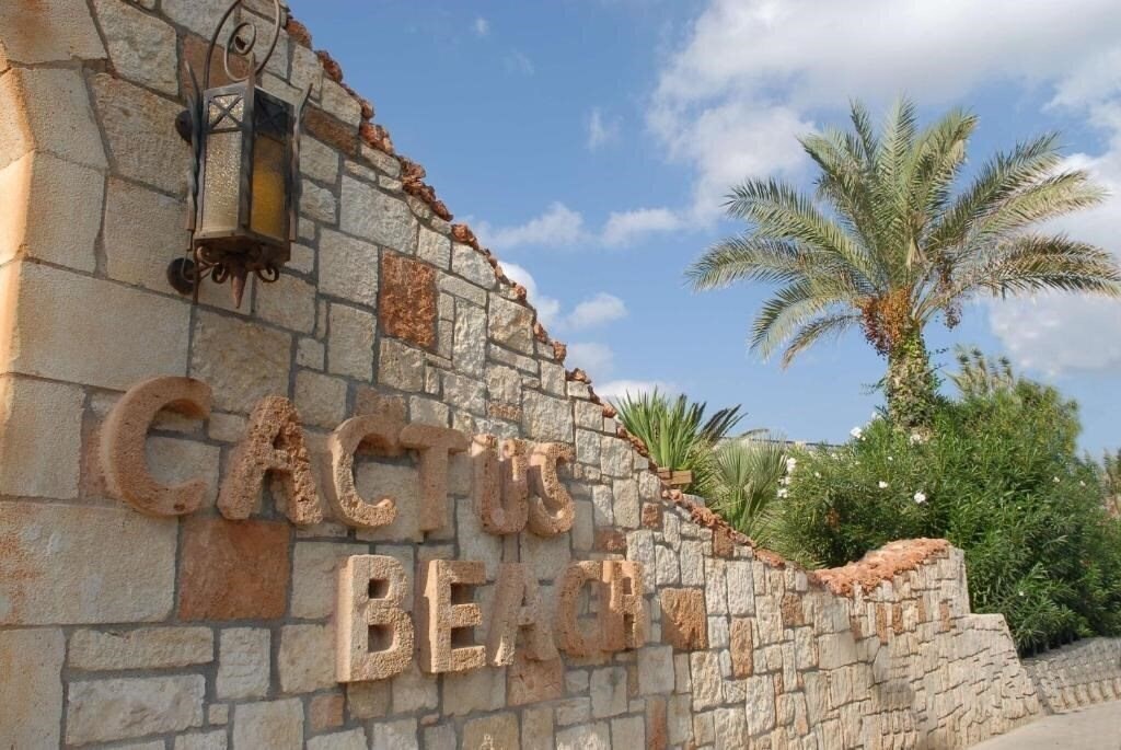 Cactus Beach 4* суреті